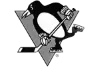 Pittsburgh Penguins